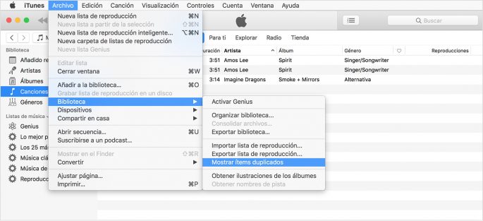 Odstraňte duplicitní soubory iTunes
