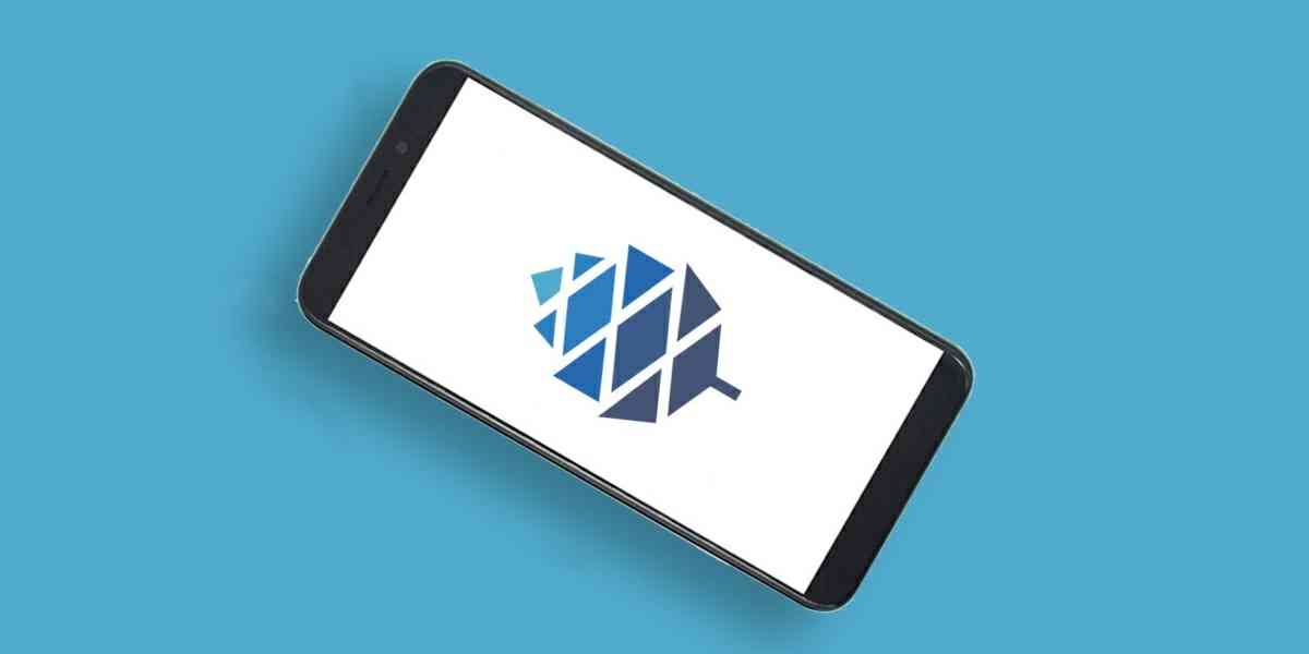 PinePhone, smartphone pouze pro profesionály v Linuxu 5 çam telefonu