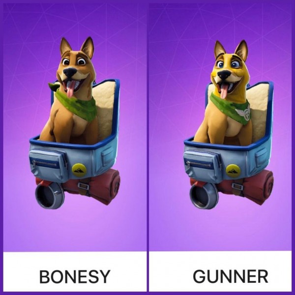 Reakce psa nutí Epica, aby to vytáhl ... Reakce psa nuti Epica aby to vytahl