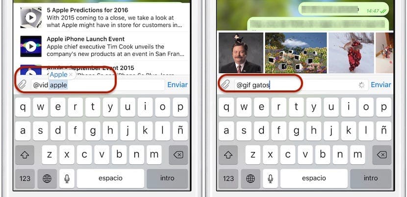 Revoluce GIF: ještě jeden důvod k přechodu na Telegram 2 haber-telgraf-1