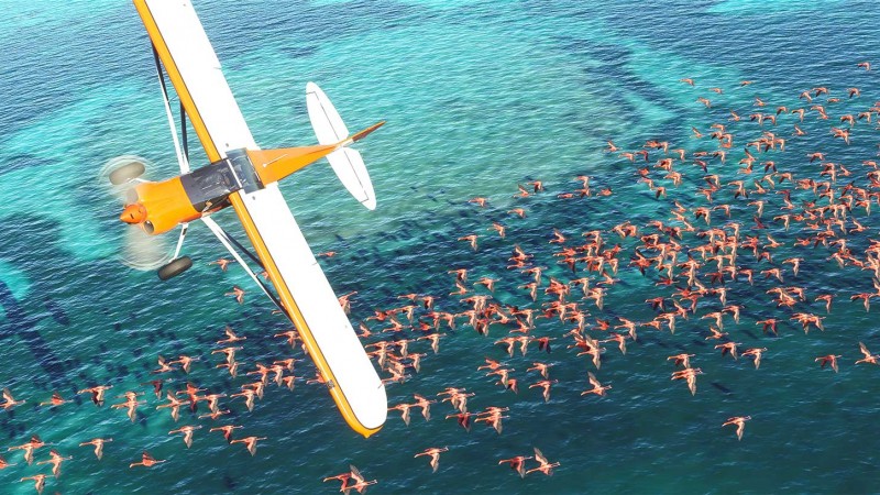 Samotní vývojáři Microsoft Flight Simulatoru ...