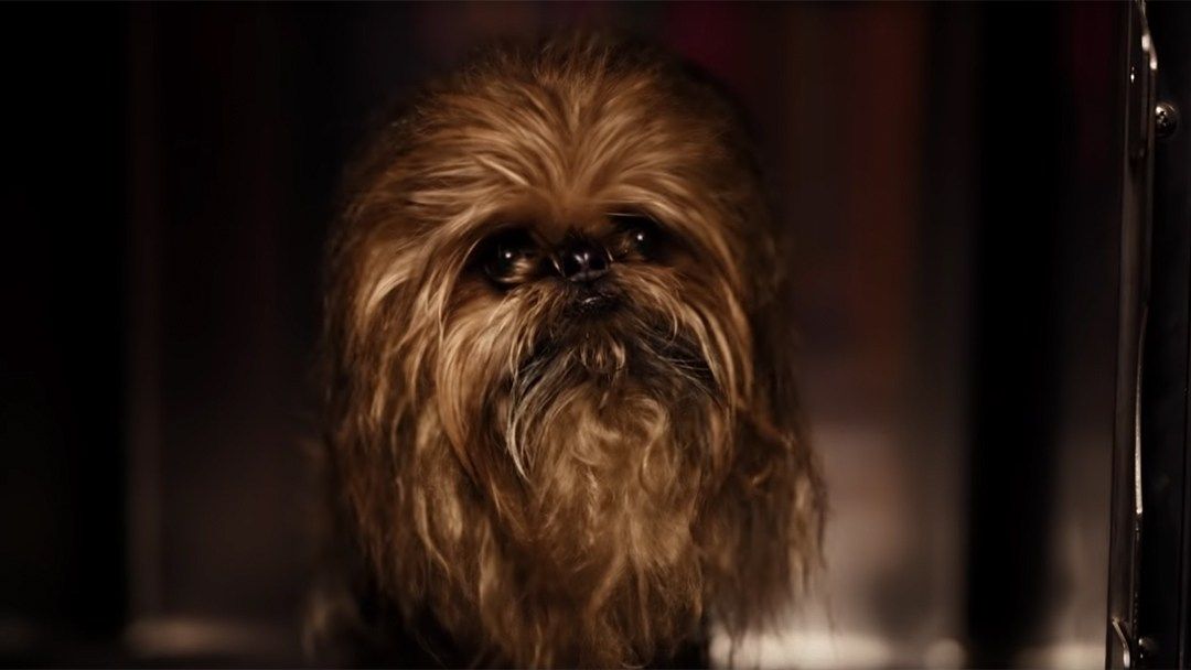 Samsung a Star Wars se připojí k Christmas Force The Korean company a Lucasfilm plánuje přinést štěstí do domovů všech jejích uživatelů. 5 Samsung a Star Wars se připojí k Christmas Force The Korean company a Lucasfilm plánuje přinést štěstí do domovů všech jejích uživatelů.