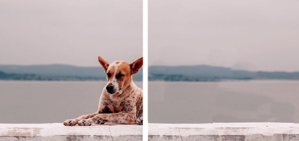 Smazat kontakty z aplikace Fotografie Smazat, co chcete!