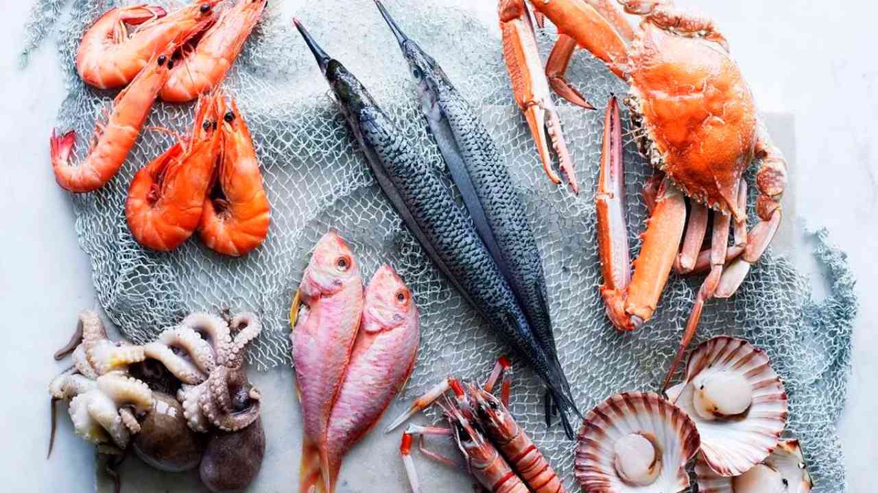 Světový den oceánu: Vyvážení konkurenceschopné bezpečnosti potravin,…