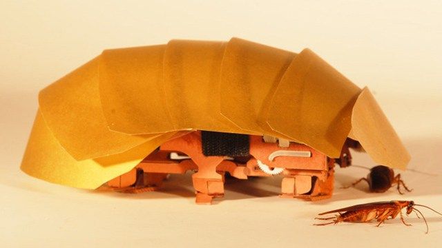 Tento švábový robot je odolný proti nárazu. Malý robot má extrémně odolný kovový rám. Kaushik Jayaram a Robert Full, pár vědců z Berkeley University, vytvořili malého robota ...