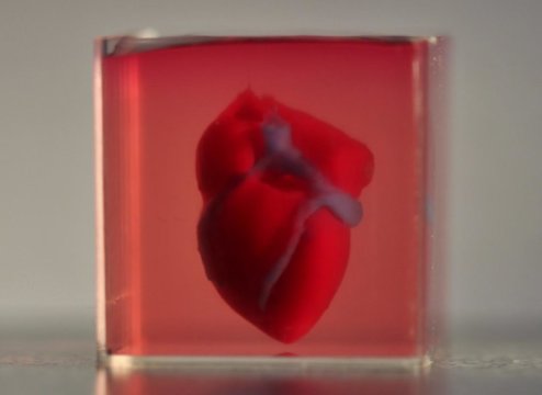 Vědci 3D tisk prvního srdce pomocí biologických materiálů ...