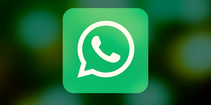 Virová zpráva "papoušek s burundanga" Vytvořil Whatsapp