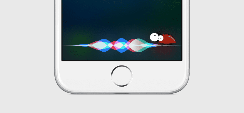 Siri Bug