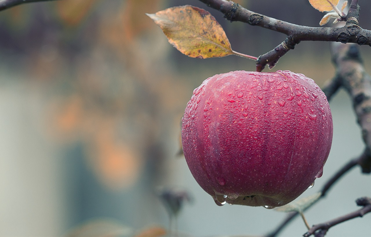 Apple Watch vodotěsnost: 5 důvodů, proč se vyplatí je mít 10 apple watch vodotěsnost