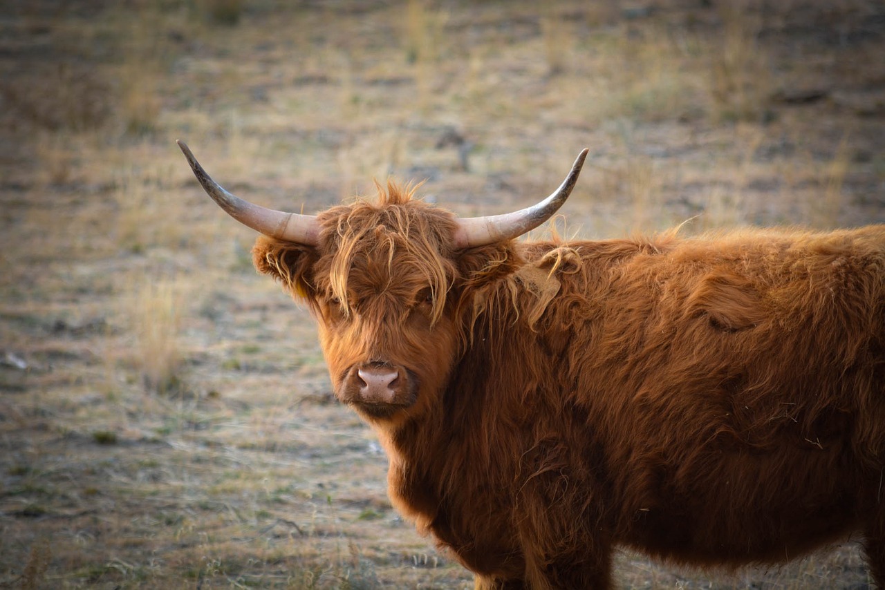 jak zjistit url adresu