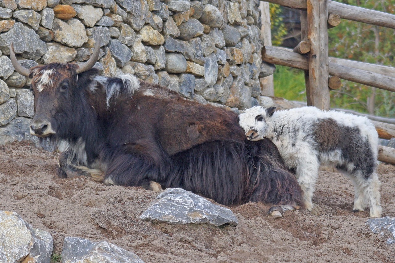 Jak zrušit účet na AliExpress: 5 snadných kroků pro vás 4 jak zrušit účet na aliexpress