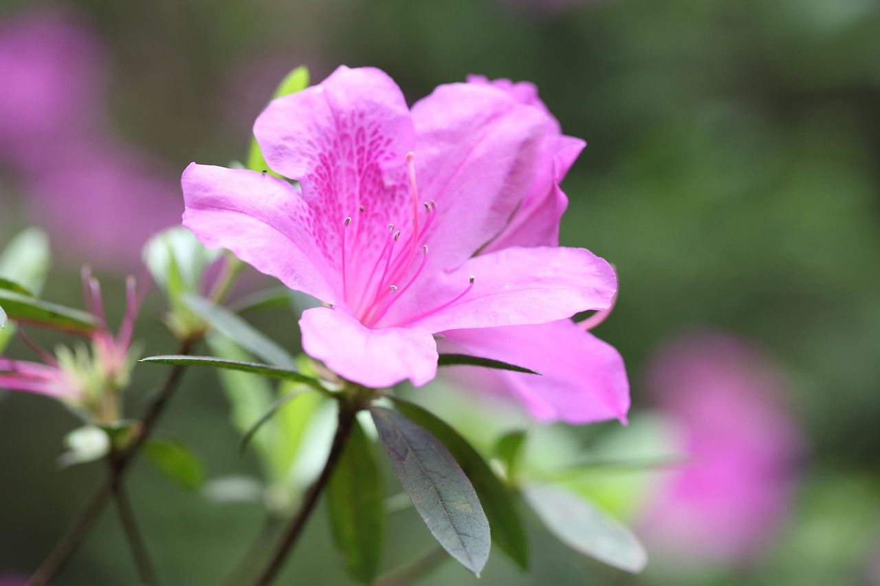 Mikro SIM: 5 klíčových faktů, které potřebujete vědět 12 mikro sim