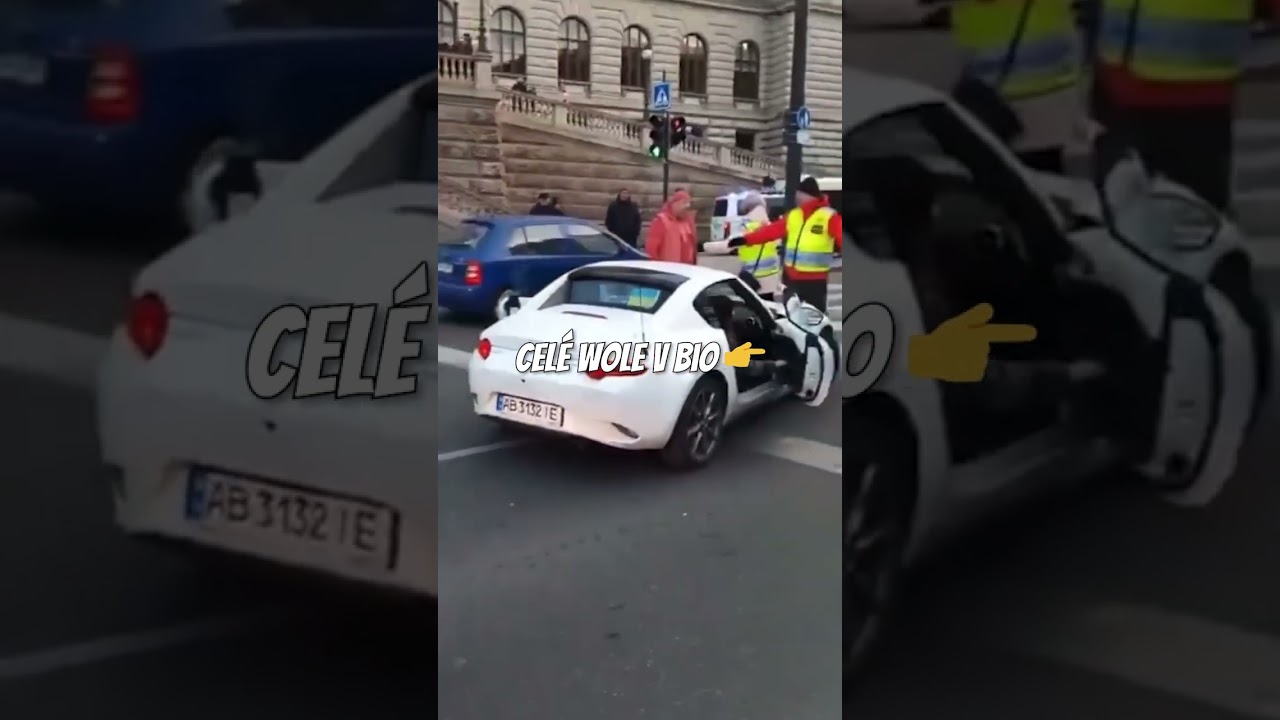 ukrajinci v čr