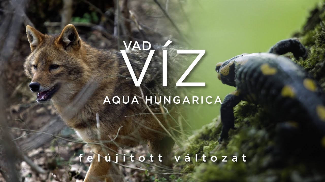 Vizek 5 úžasných tipů pro efektivní online marketing 1 vizek